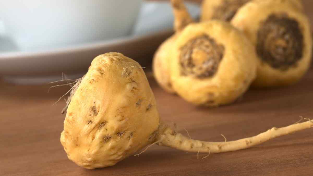 Maca Peruana em cápsulas principais benefícios desta incrível planta adaptogênica