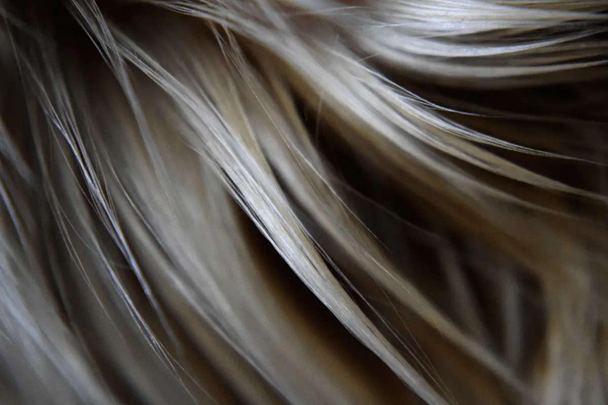como-saber-qual-e-a-curvatura-do-cabelo